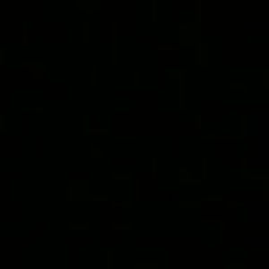 Meet your Posher, Sammy